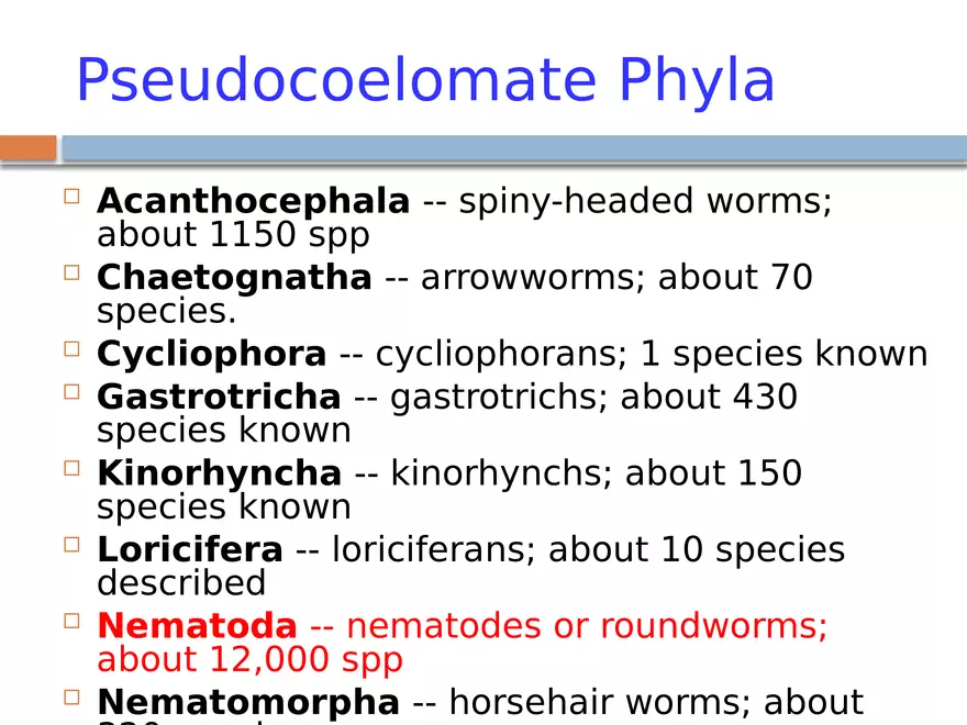 The Coelomate Bauplan - Page 7