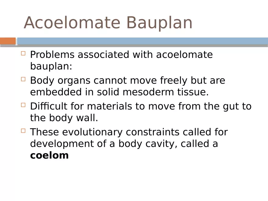 The Coelomate Bauplan - Page 8