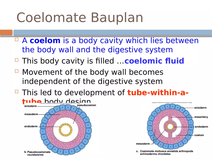 The Coelomate Bauplan - Page 9