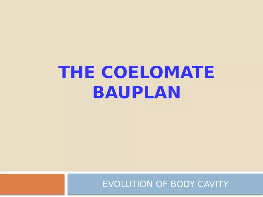 The Coelomate Bauplan - Page 1