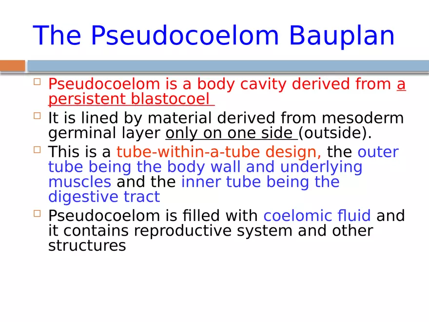The Coelomate Bauplan - Page 3
