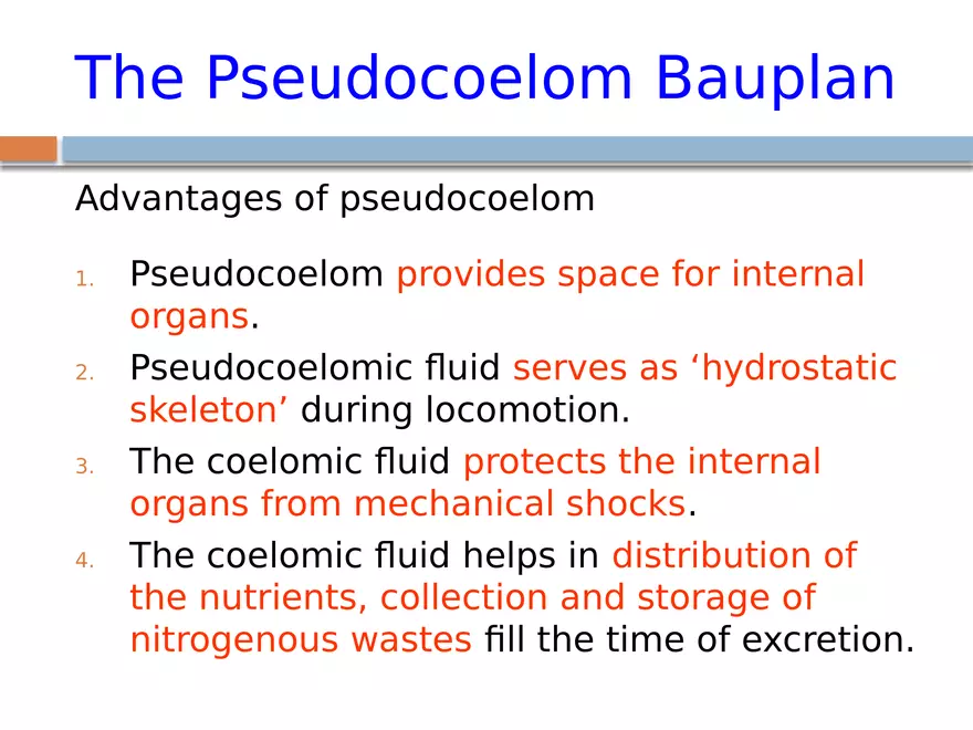 The Coelomate Bauplan - Page 6