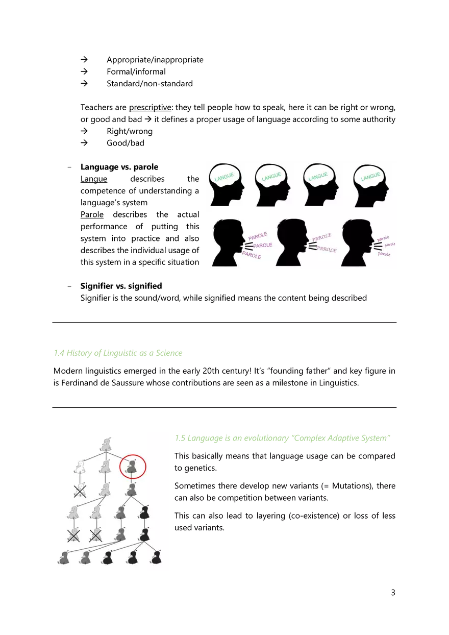 Summary to Introduction to English Linguistics - Page 13
