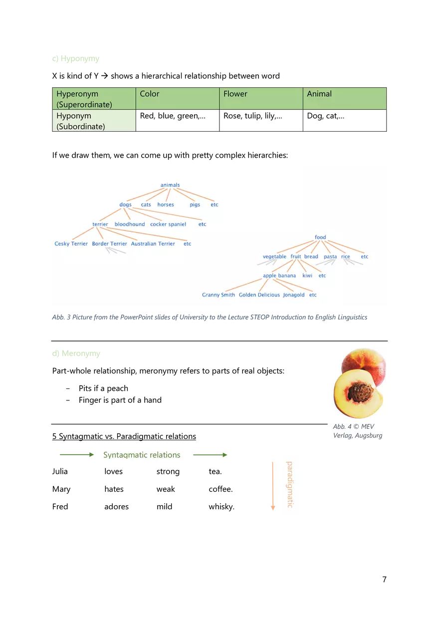 Summary to Introduction to English Linguistics - Page 26