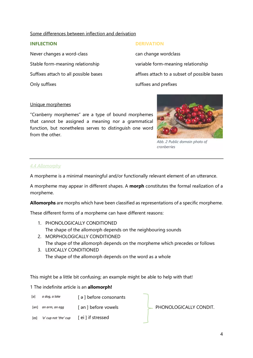 Summary to Introduction to English Linguistics - Page 3