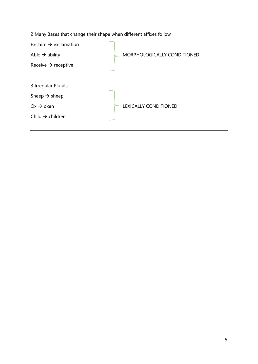 Summary to Introduction to English Linguistics - Page 4