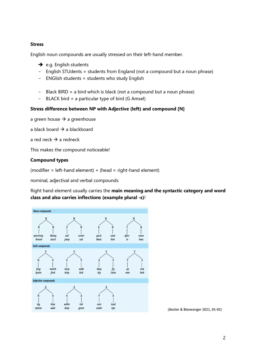 Summary to Introduction to English Linguistics - Page 6