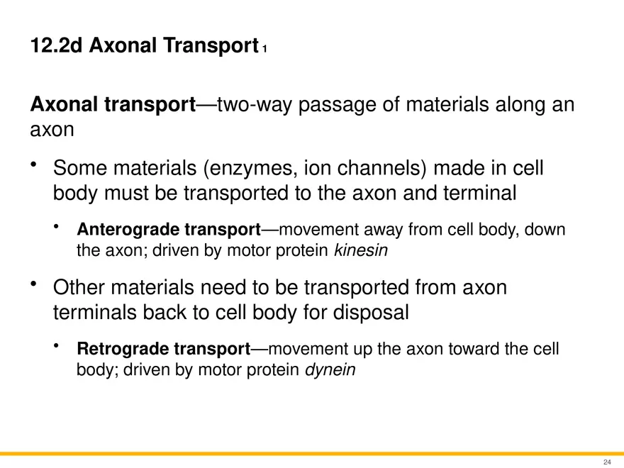12.2 Properties of Neurons - Page 9