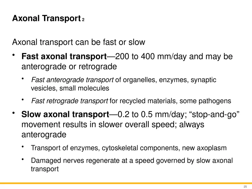 12.2 Properties of Neurons - Page 10