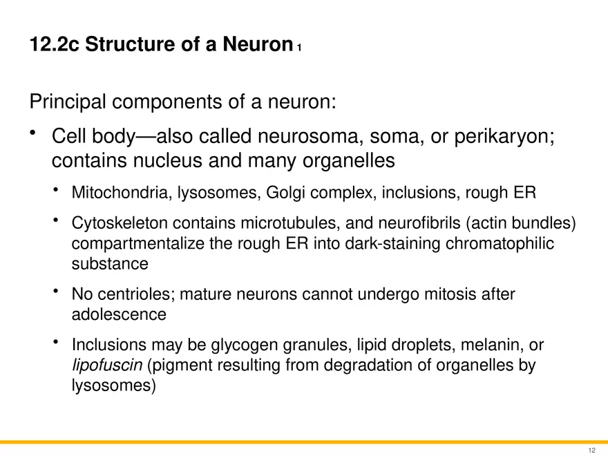 12.2 Properties of Neurons - Page 13
