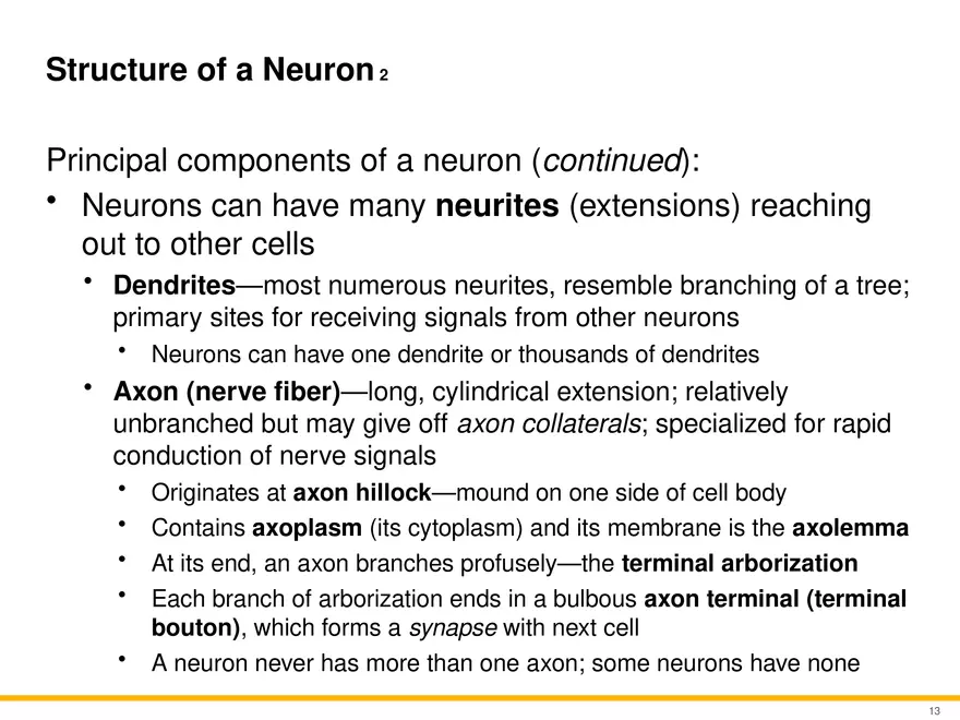 12.2 Properties of Neurons - Page 14