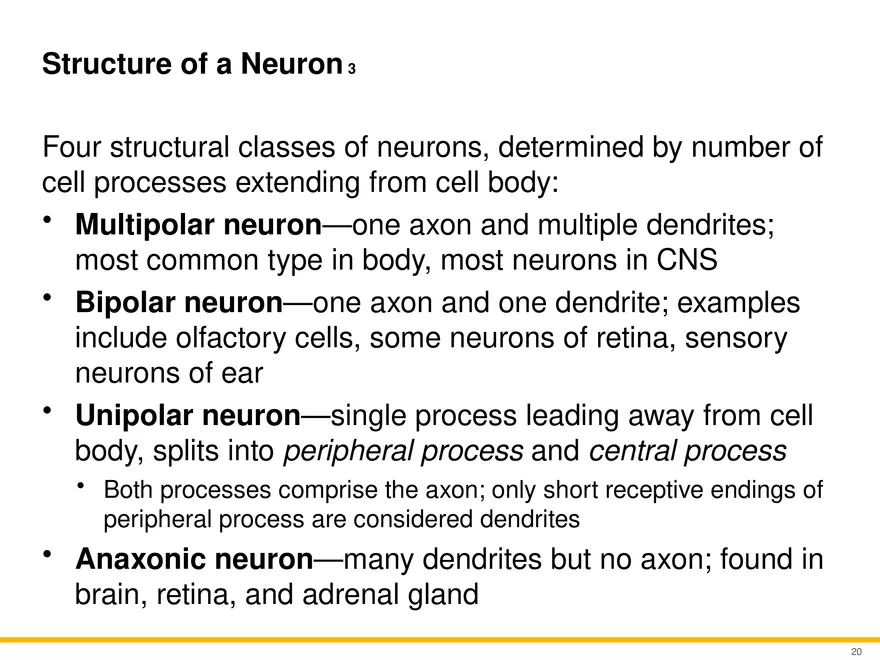 12.2 Properties of Neurons - Page 5