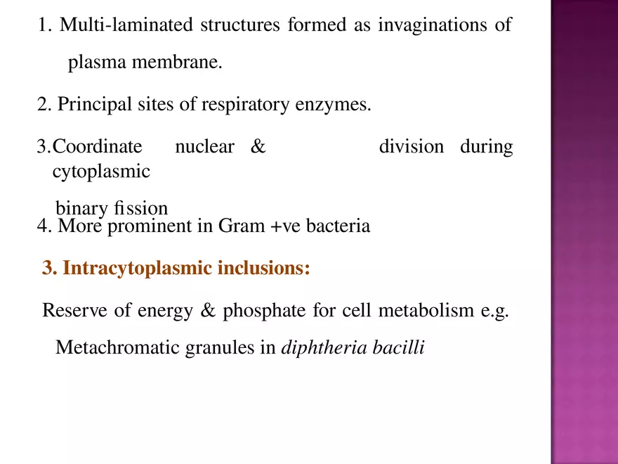 Bacteria - Page 15