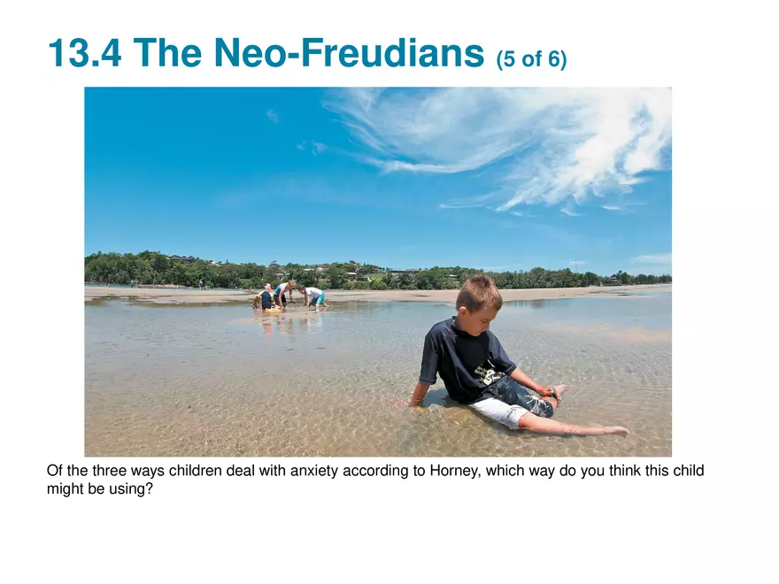 Chapter 13 Theories of Personality - Page 22