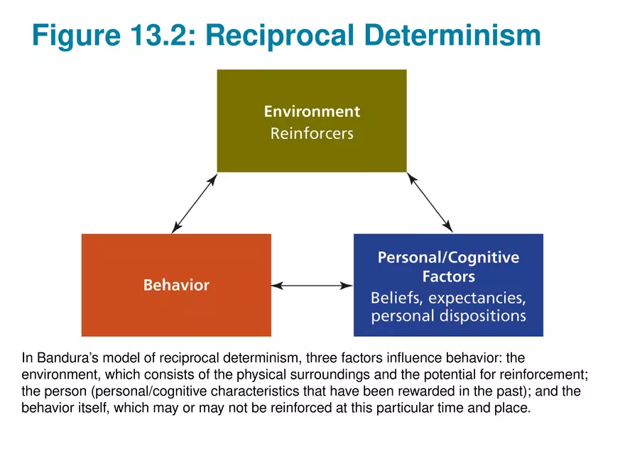 Chapter 13 Theories of Personality - Page 32