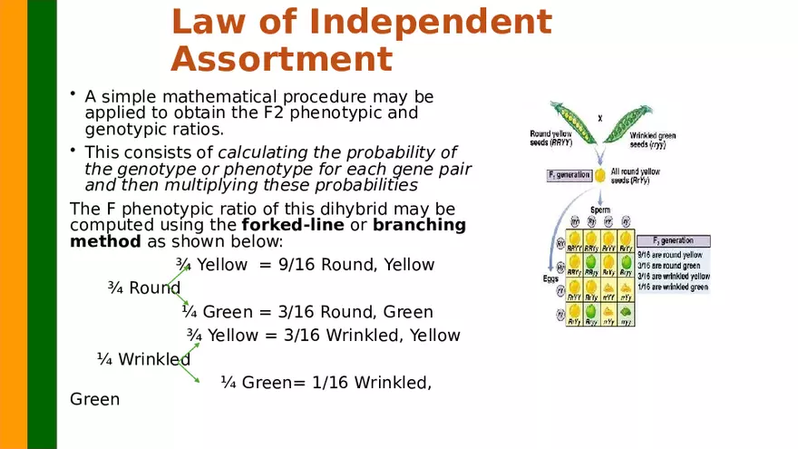 Gene Segregation and Interaction - Page 20