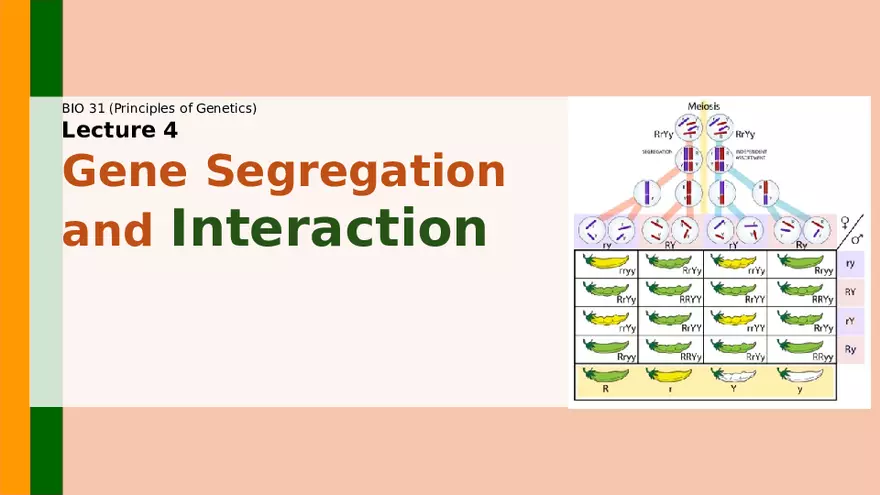 Gene Segregation and Interaction - Page 1