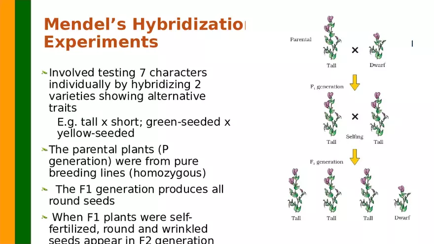 Gene Segregation and Interaction - Page 37