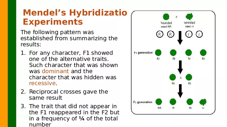 Gene Segregation and Interaction - Page 39