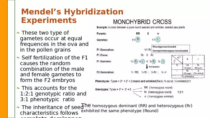 Gene Segregation and Interaction - Page 3