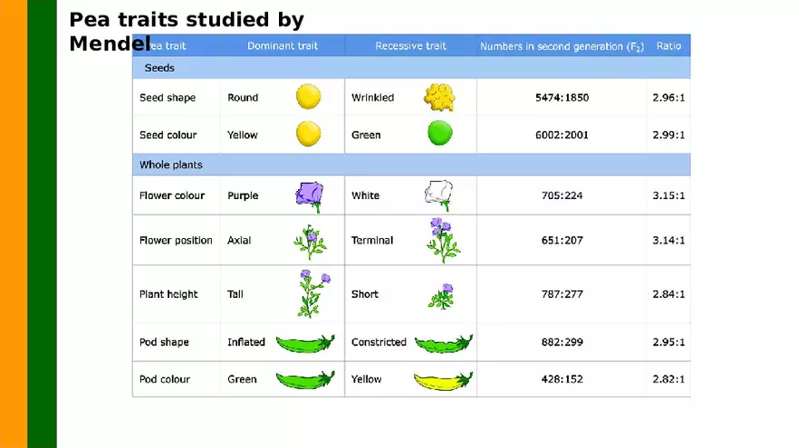 Gene Segregation and Interaction - Page 5