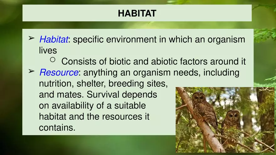 4.1 Studying Ecology - Page 7