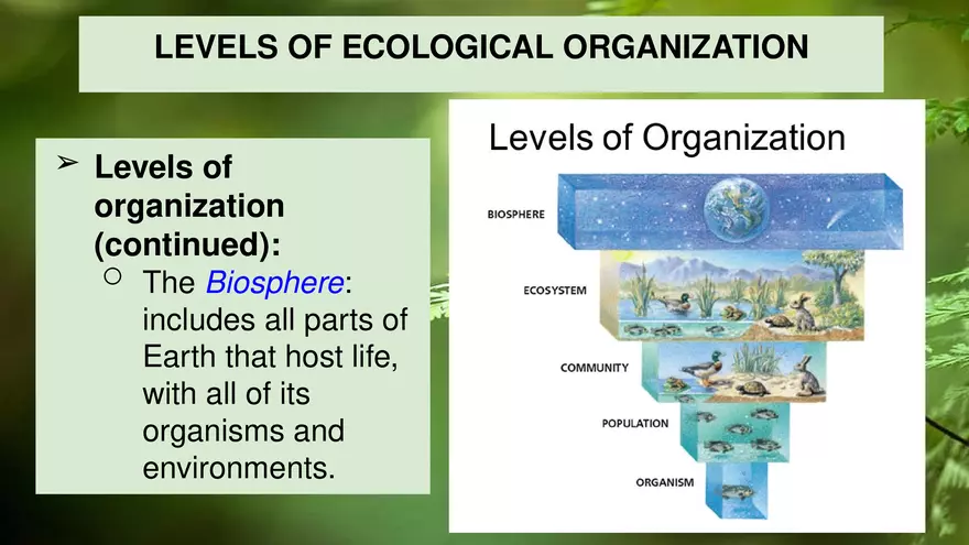 4.1 Studying Ecology - Page 5