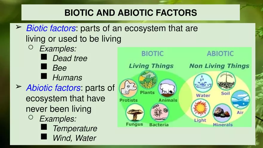 4.1 Studying Ecology - Page 6