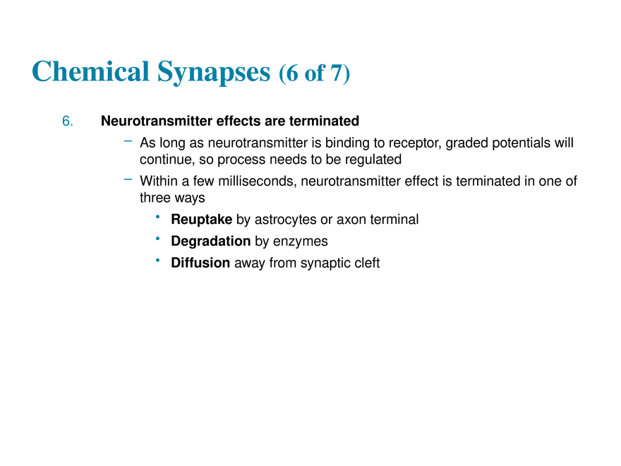 11.7 The Synapse - Page 9