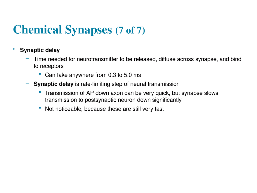 11.7 The Synapse - Page 11