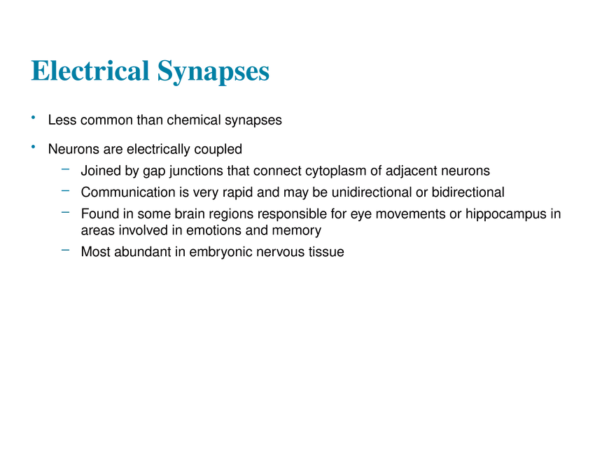 11.7 The Synapse - Page 12