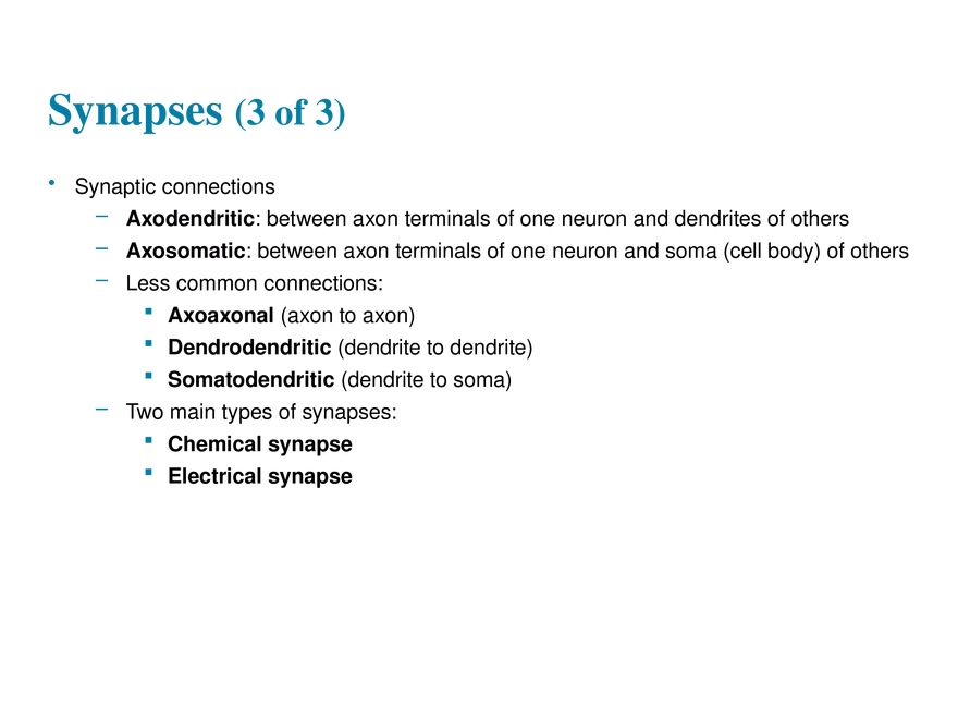 11.7 The Synapse - Page 15