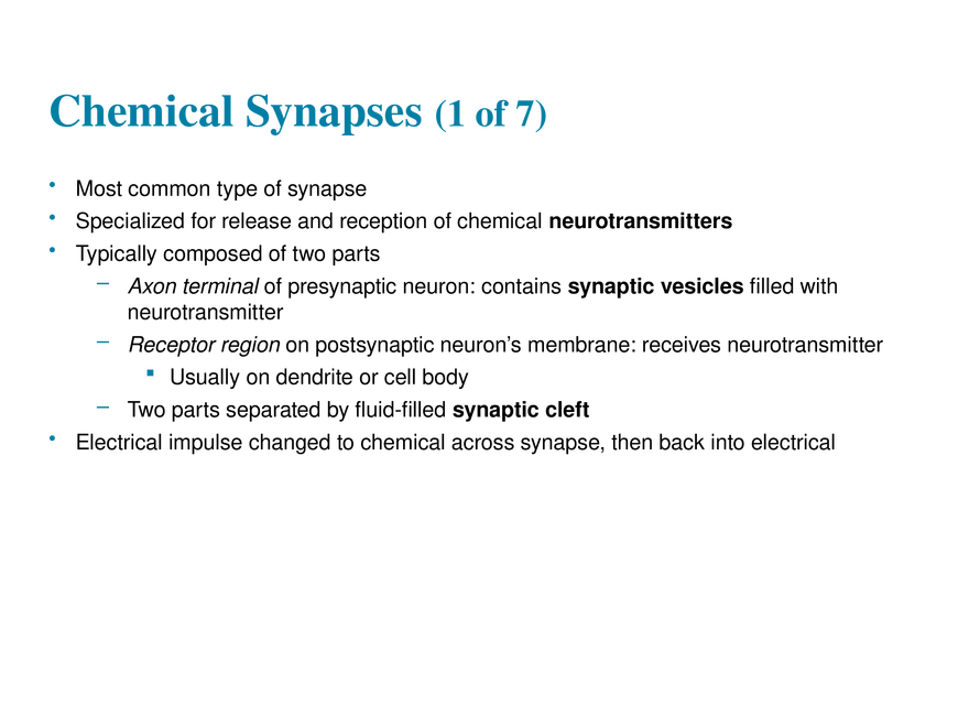 11.7 The Synapse - Page 16