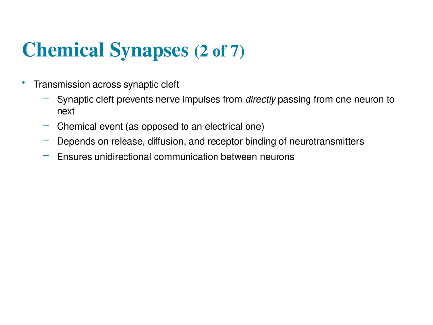 11.7 The Synapse - Page 17