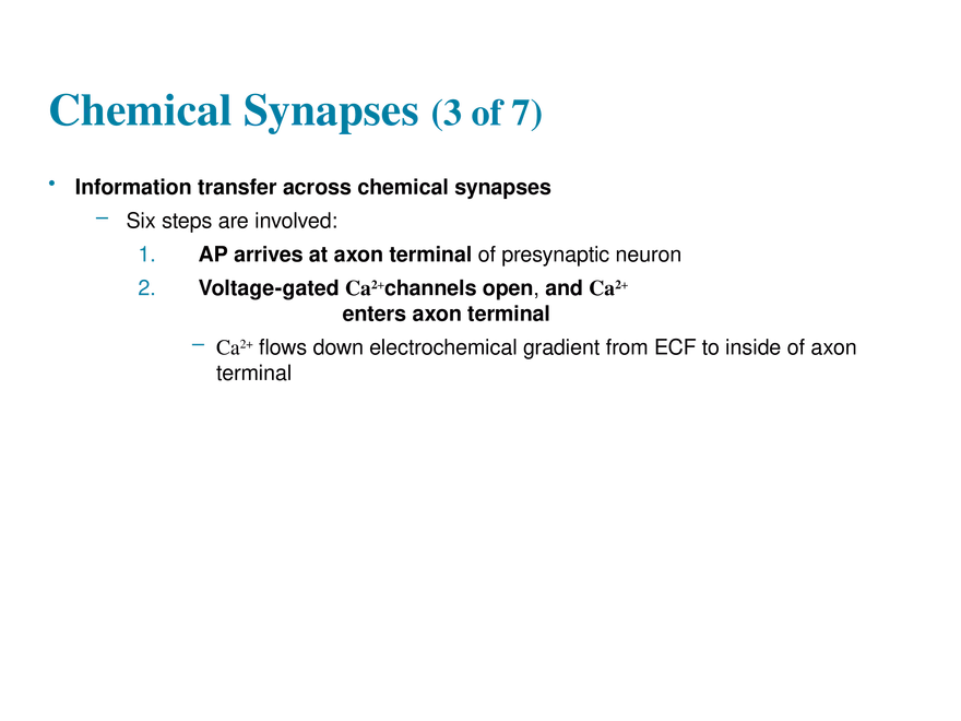 11.7 The Synapse - Page 19