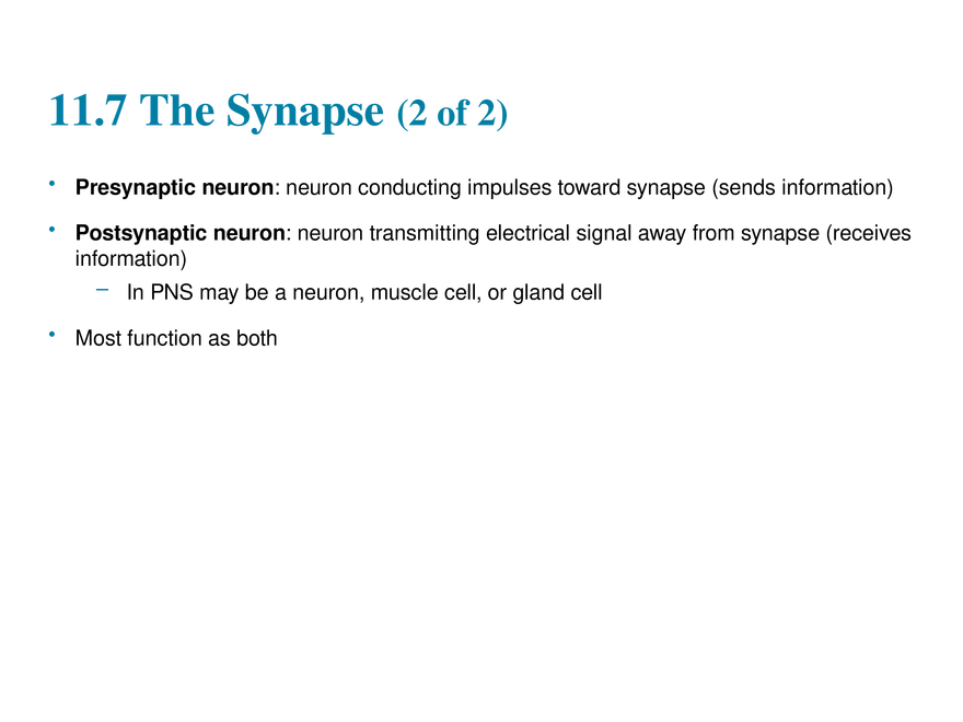 11.7 The Synapse - Page 2