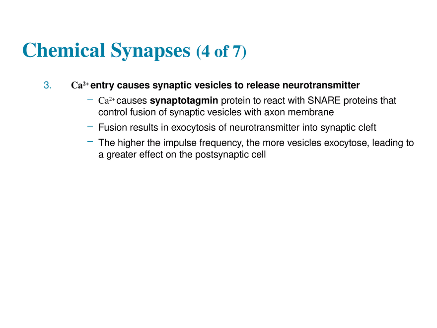 11.7 The Synapse - Page 4