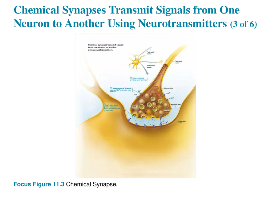 11.7 The Synapse - Page 5