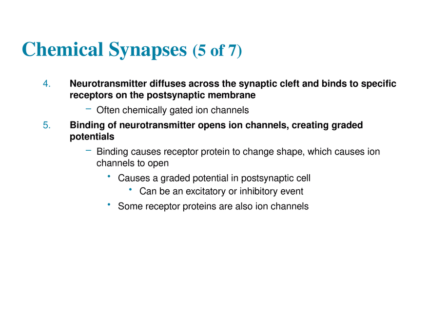 11.7 The Synapse - Page 6