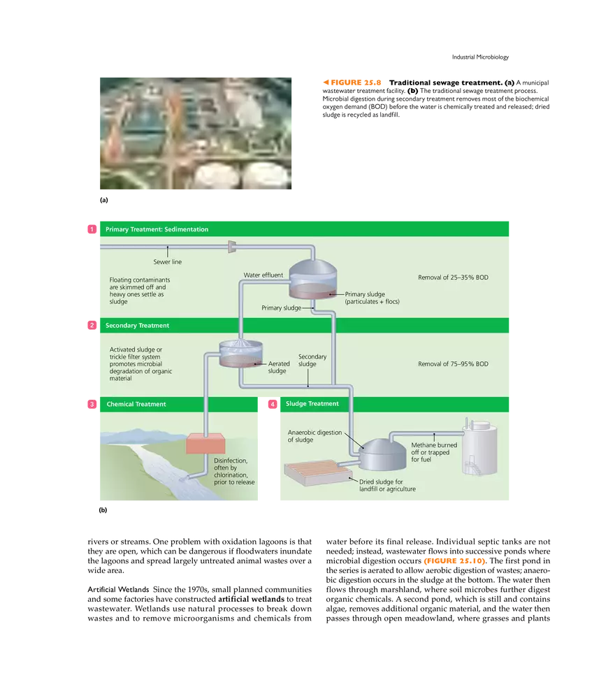 Applied and Industrial Microbiology - Page 8
