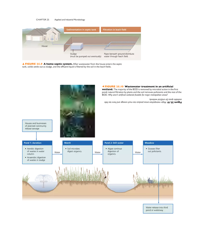 Applied and Industrial Microbiology - Page 9