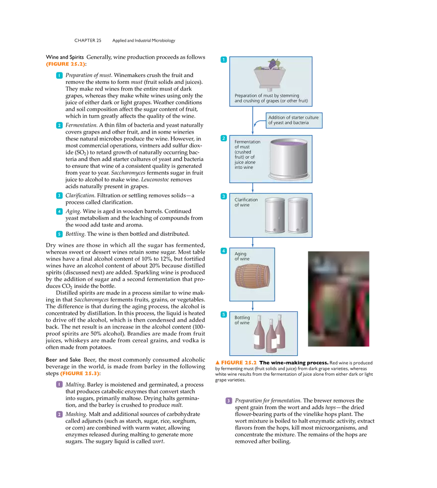 Applied and Industrial Microbiology - Page 13