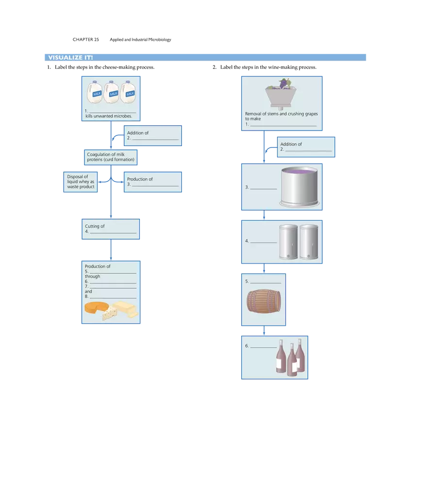 Applied and Industrial Microbiology - Page 14