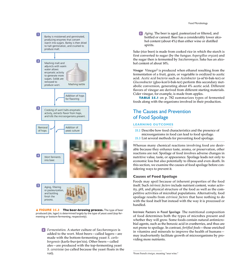 Applied and Industrial Microbiology - Page 17