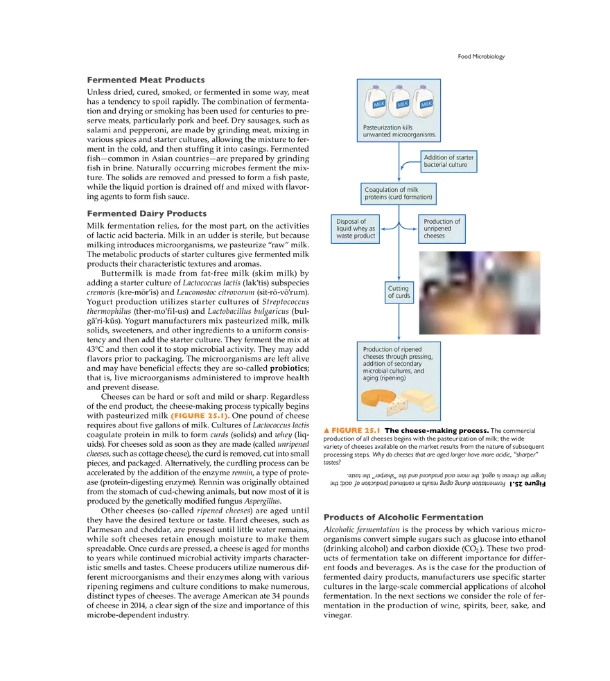 Applied and Industrial Microbiology - Page 2