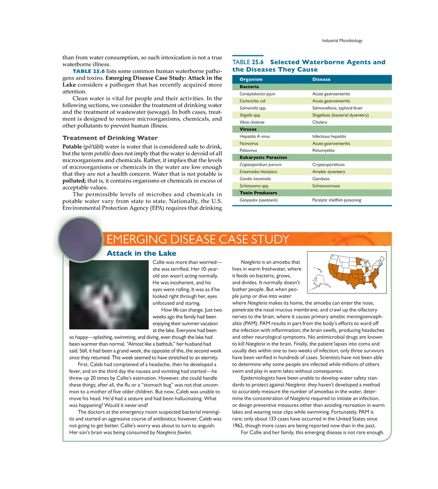 Applied and Industrial Microbiology - Page 4