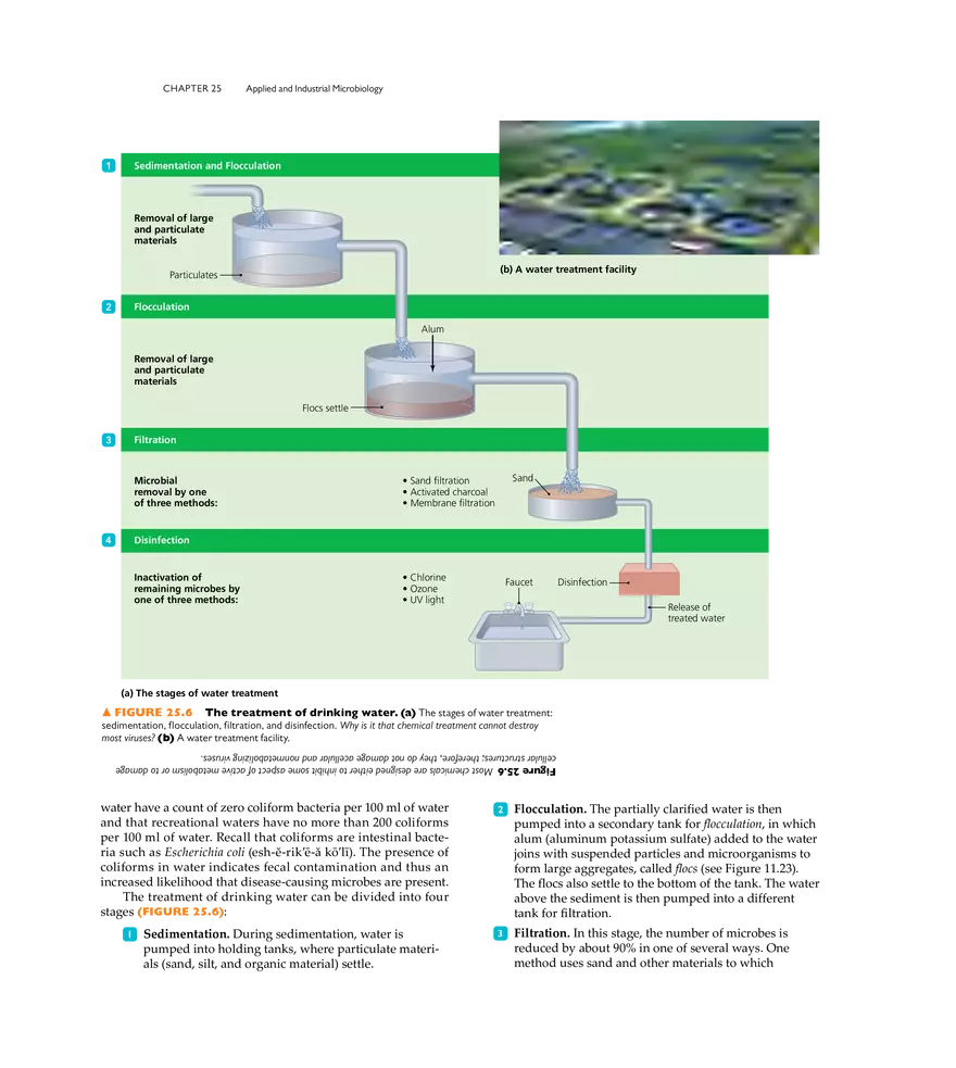 Applied and Industrial Microbiology - Page 5