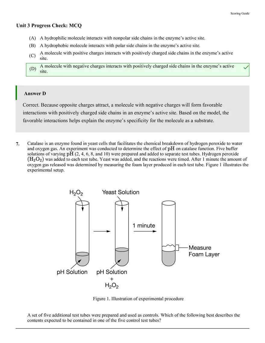 Unit 3 Progress Check MCQ - Page 4