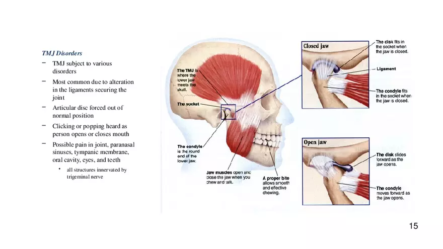 Chapter 9 Articulations - Page 9