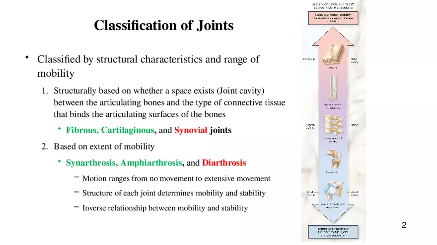 Chapter 9 Articulations - Page 13